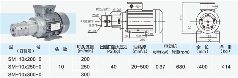 10頭小流量多頭泵03_副本.jpg