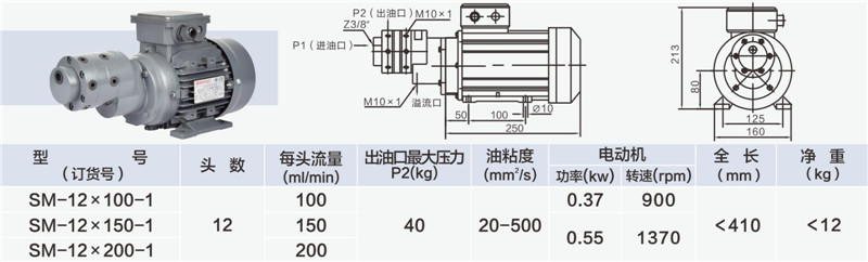 12頭小流量多頭泵-02_副本.jpg