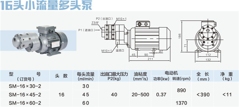 16頭小流量多頭泵-01_副本.jpg