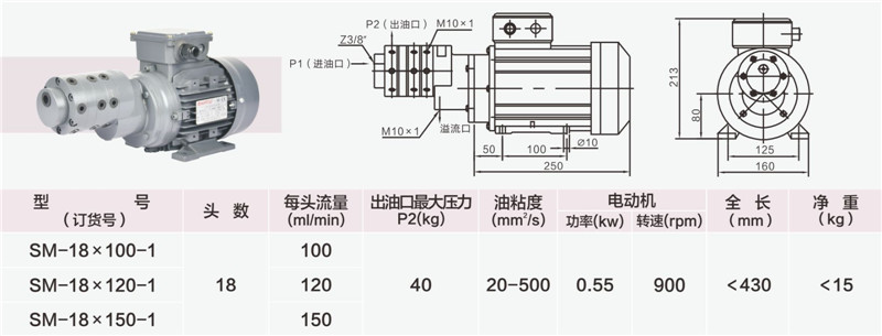 18頭小流量多頭泵-02_副本.jpg