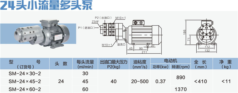 24頭小流量多頭泵-01_副本.jpg