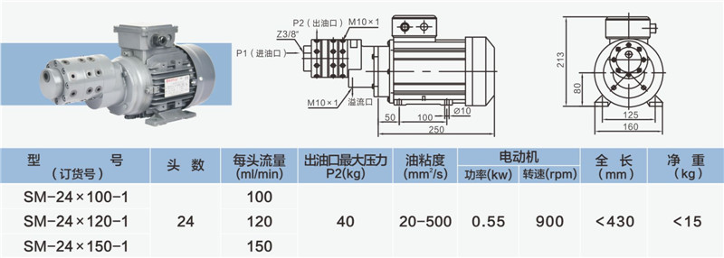 24頭小流量多頭泵-02_副本.jpg